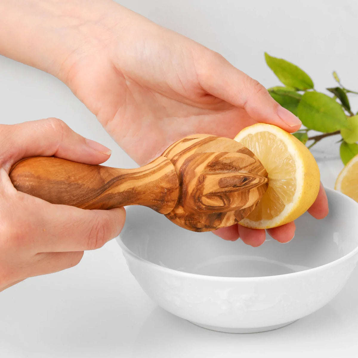 presse-citron en bois d'olivier